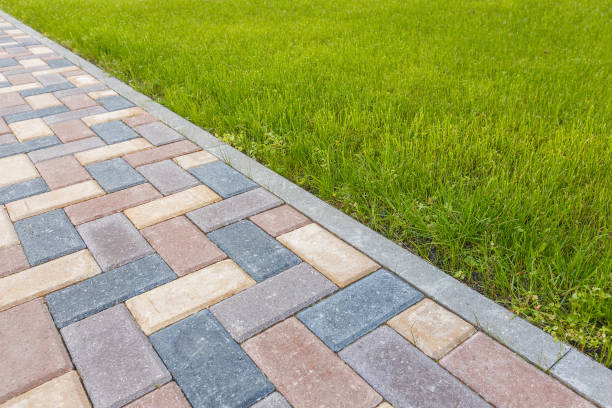 Best Driveway Paving Contractor  in Biscoe, NC